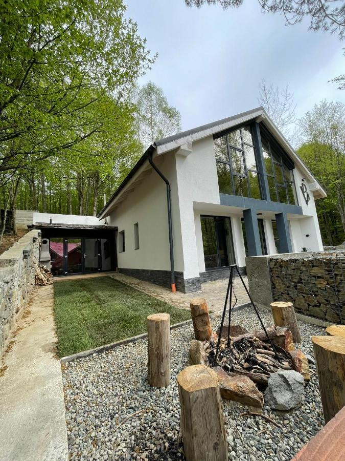 Vila Blanc Valiug Crivaia Esterno foto