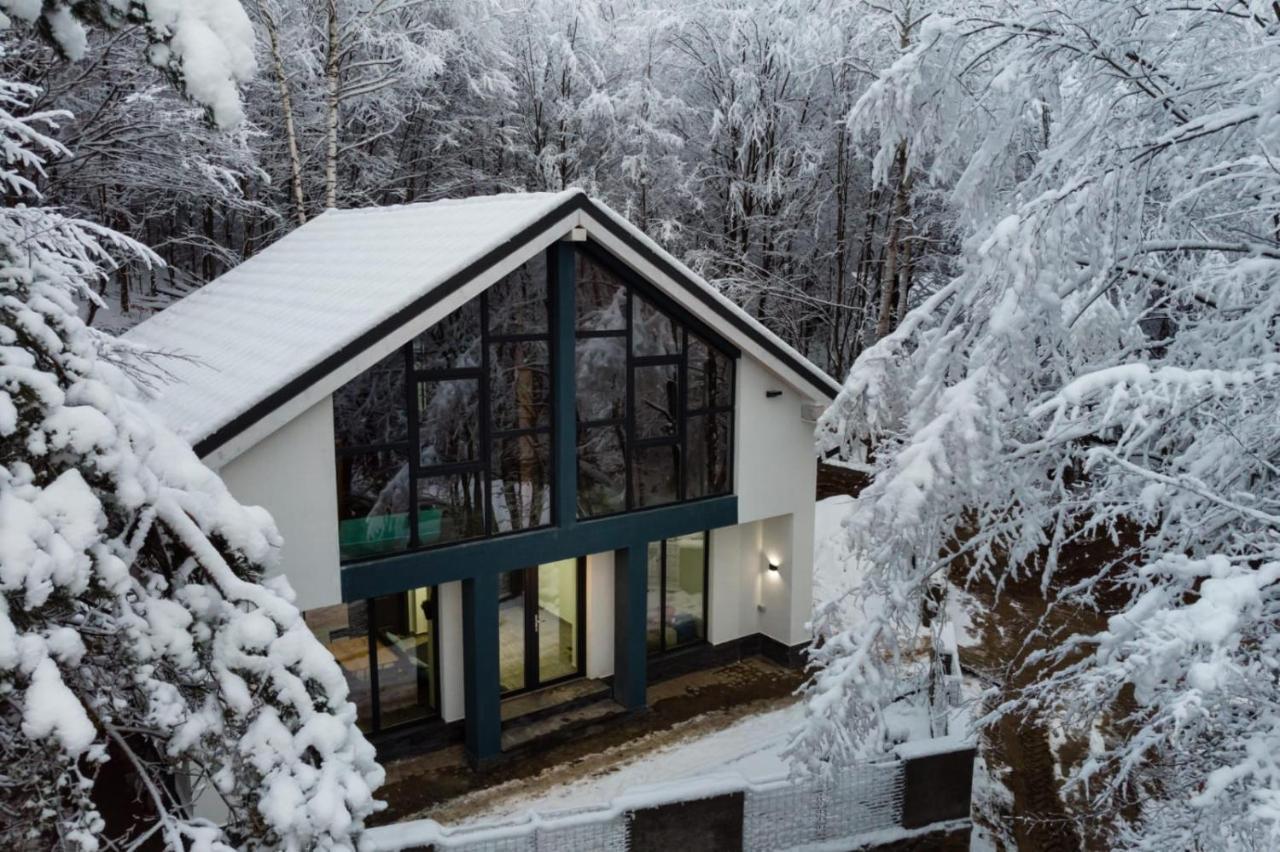 Vila Blanc Valiug Crivaia Esterno foto