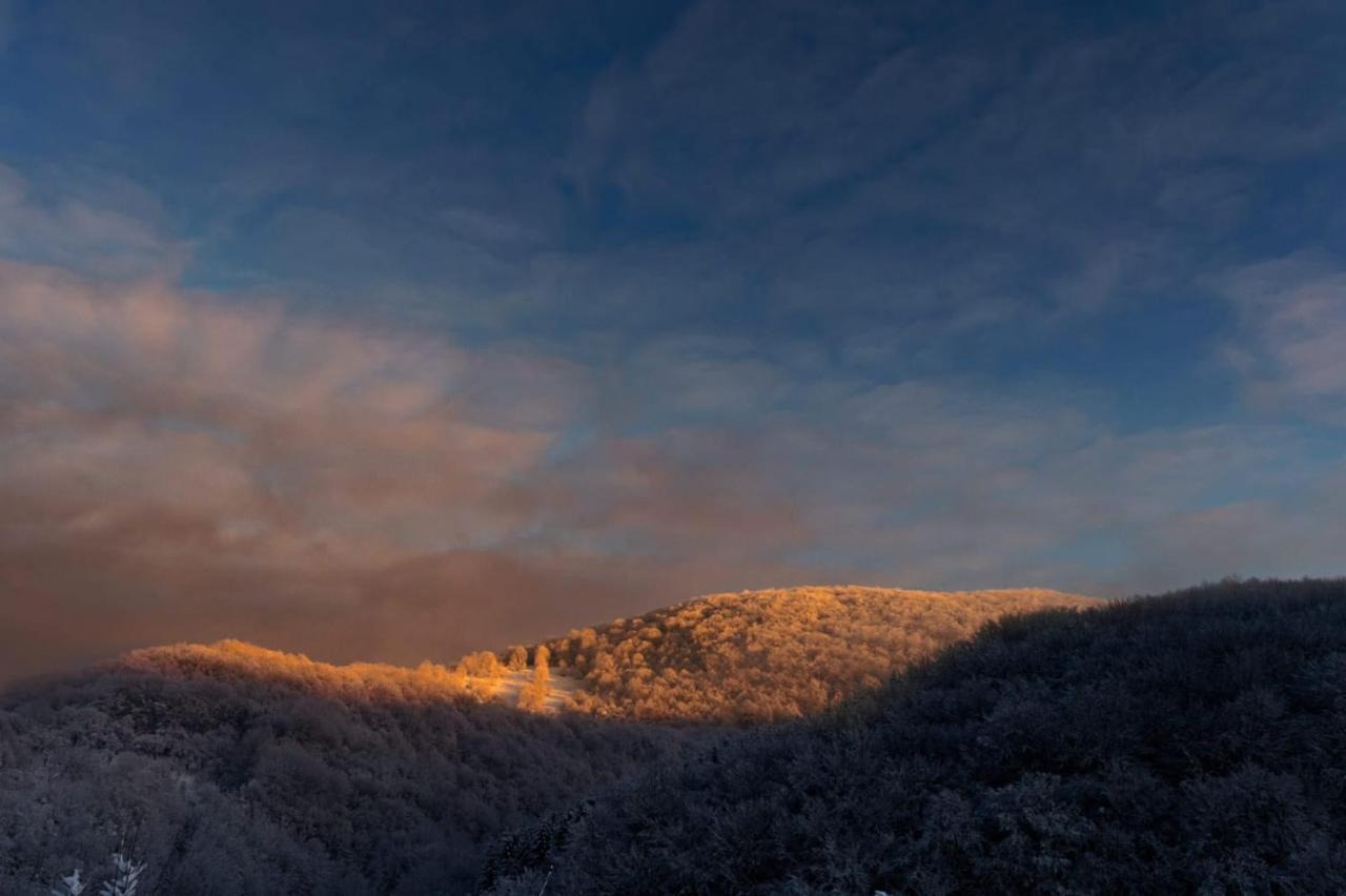 Vila Blanc Valiug Crivaia Esterno foto